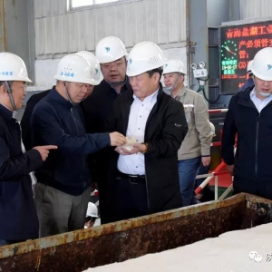 工信部副部長王江平赴青海鹽湖調研希望公司扎實抓好金屬鎂一體化項目 ...